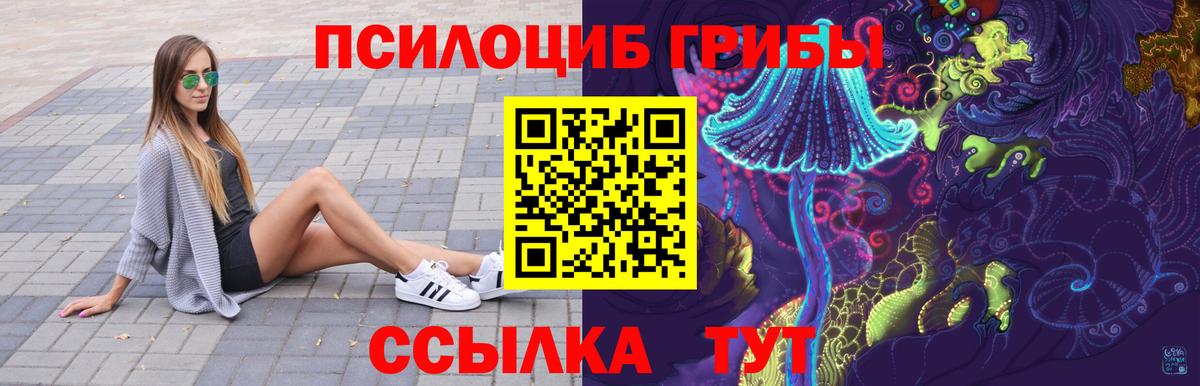 купить наркотик  Псилоцибиновые грибы Psilocybine cubensis  Вход с VPN  Галлюциногенные грибы мицелий  Тулун 
